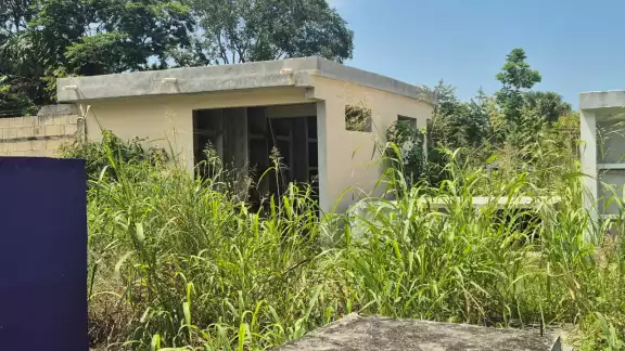 El panteón “La Cruz” se encuentra en total abandono, cubierto de maleza y con proliferación de mosquitos.
