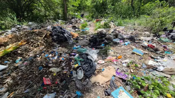 Vecinos de la calle 13 entre 24 y 26, en la colonia Pozo Monte, denuncian un predio lleno de basura, maleza y hasta animales muertos. Vecinos de la calle 13 entre 24 y 26, en la colonia Pozo Monte, denuncian un predio lleno de basura, maleza y hasta animales muertos.