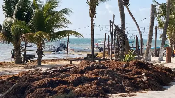 En algunas zonas de la Costa Maya y el Sur de la Entidad ya arrancó un programa de limpieza intensiva
