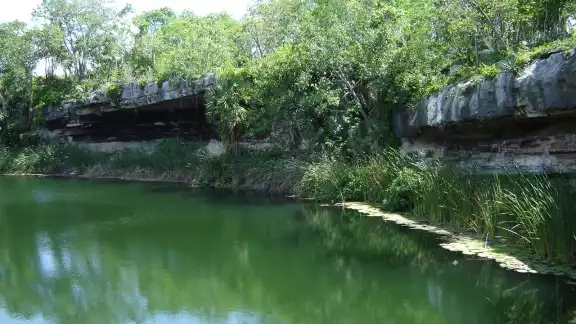 El cenote Sabak-Ha se encuentra en el municipio de Sacalum en Yucatán El cenote Sabak-Ha se encuentra en el municipio de Sacalum en Yucatán