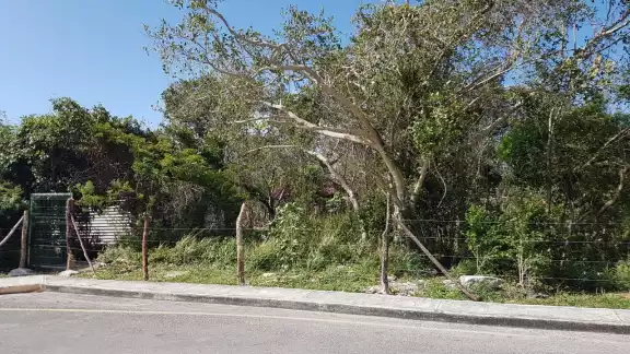 Será el próximo 28 de junio cuando la FGE Yucatán de sentencia a las dos personas acusadas Será el próximo 28 de junio cuando la FGE Yucatán de sentencia a las dos personas acusadas