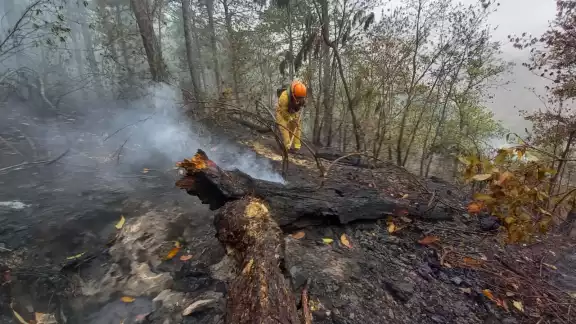 Un brigadista elimina cualquier riesgo de un nuevo incendio Un brigadista elimina cualquier riesgo de un nuevo incendio