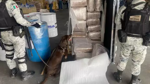 Al lugar acudieron los elementos de dicha autoridad acompañados de caninos para llevar a cabo una revisión Al lugar acudieron los elementos de dicha autoridad acompañados de caninos para llevar a cabo una revisión