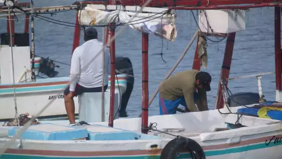 Pescador de Chabihau afirma que han estado capturando el chac-chi que sirve para filete y canané Pescador de Chabihau afirma que han estado capturando el chac-chi que sirve para filete y canané