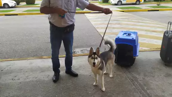 Foto: Juan García