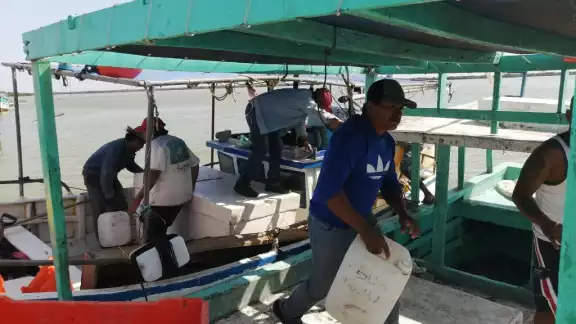 Este fin de semana dos pescadores sobrevivieron después de haber caído al mar Este fin de semana dos pescadores sobrevivieron después de haber caído al mar