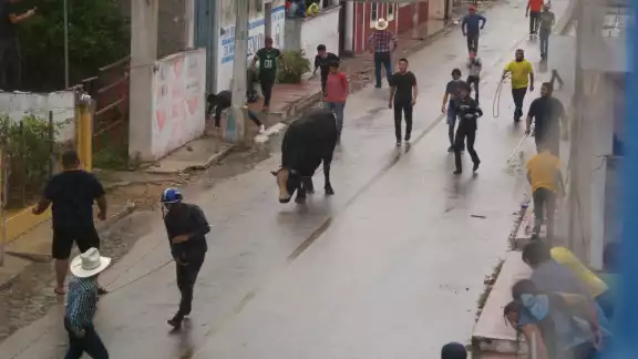 La primera autoridad del pueblo rechazó las múltiples críticas por maltrato animal y sostuvo que los eventos taurinos son una tradición en Yucatán La primera autoridad del pueblo rechazó las múltiples críticas por maltrato animal y sostuvo que los eventos taurinos son una tradición en Yucatán