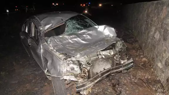 La vaca falleció tras el fuerte impacto del auto La vaca falleció tras el fuerte impacto del auto