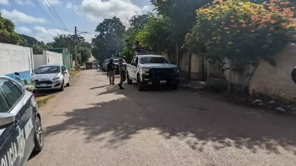El operativo se realizó en la zona de Dos Aguadas-Gavilanes de José María Morelos