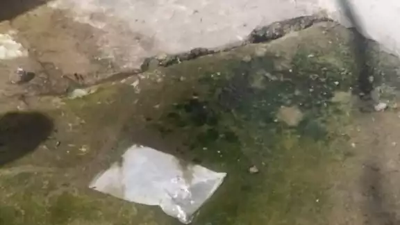 Los olores fétidos afectan principalmente a tres viviendas que están frente a la alcantarilla de la que sale el líquido Los olores fétidos afectan principalmente a tres viviendas que están frente a la alcantarilla de la que sale el líquido