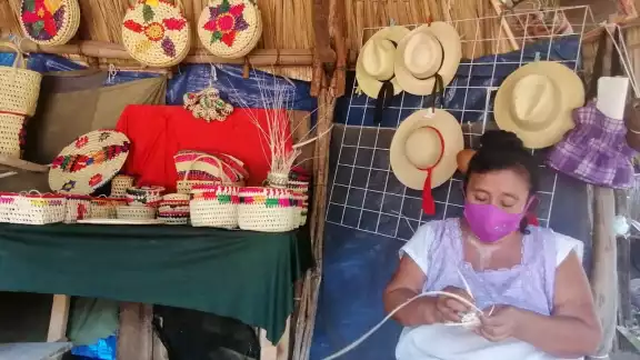 Afirman que cada día es mas difícil conseguir el material para su artesanías Afirman que cada día es mas difícil conseguir el material para su artesanías