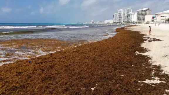 Algunas de las playas de Cancún se han visto con afectaciones por la llegada de manchas de sargazo