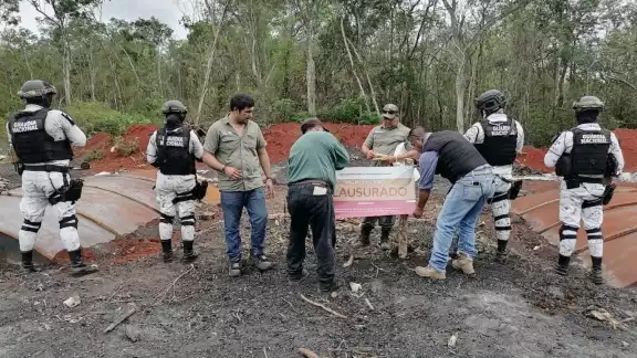 La selva de Campeche pierde hasta 22 mil 505 hectáreas cada año porque se permite la sobreexplotación de manera ilegal La selva de Campeche pierde hasta 22 mil 505 hectáreas cada año porque se permite la sobreexplotación de manera ilegal