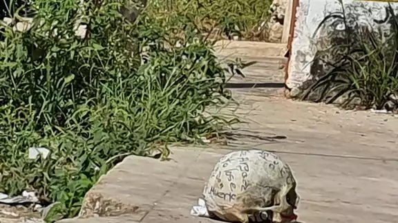 Según los vecinos el “cráneo” tenía varias horas asentado en ese lugar, pero no se habían fijado con atención Según los vecinos el “cráneo” tenía varias horas asentado en ese lugar, pero no se habían fijado con atención