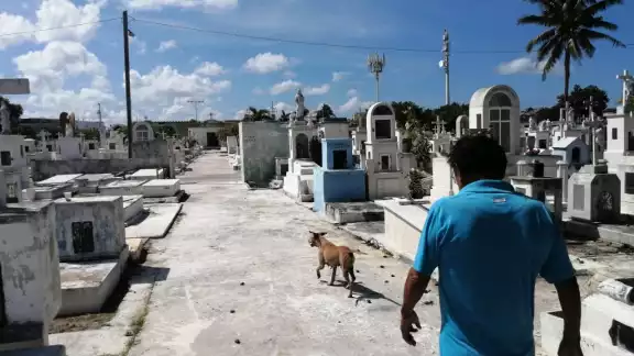 El blindaje durará del 31 de octubre hasta el 4 de noviembre, tiempo en el que prevé que los recintos recibirán cerca de 30 mil progreseños