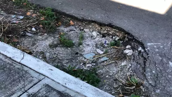 Señalan abandono de colonia Plutarco Elías Calles, Quintana Roo Señalan abandono de colonia Plutarco Elías Calles, Quintana Roo