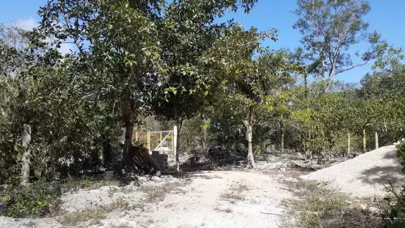 El predio El Pocito está en Puerto Aventuras, donde inversionistas presentaron solicitudes a la Semarnat para construir