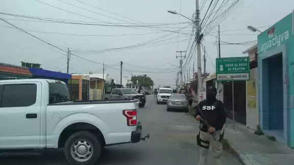 Autoridades catean un predio en Mérida Autoridades catean un predio en Mérida