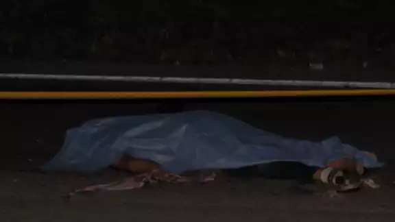 Una persona que trabaja en un rancho cercano expresó que escuchó el golpe y al salir vio tirado los cuerpos Una persona que trabaja en un rancho cercano expresó que escuchó el golpe y al salir vio tirado los cuerpos