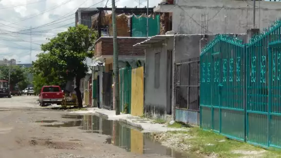 Foto: Iene Barradas