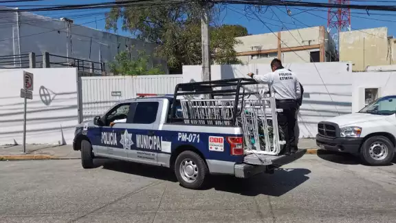 El hombre aseguró que un amigo se las había dado para guardar El hombre aseguró que un amigo se las había dado para guardar