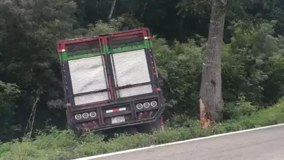 Los hechos se registraron durante la mañana, cuando salió de la carretera una camioneta