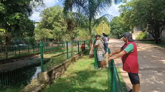 El león del zoológico La Reina de Tizimín falleció por un golpe de calor