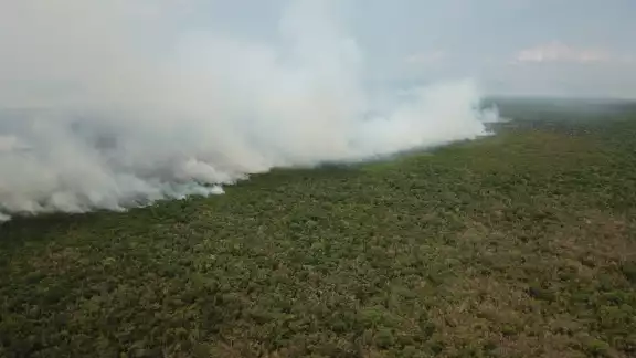 El incendio forestal avanzó en la zona selvática de Uxuxubi, ubicada en el Sur de Playa del Carmen, donde la Conafor y bomberos combaten el fuego El incendio forestal avanzó en la zona selvática de Uxuxubi, ubicada en el Sur de Playa del Carmen, donde la Conafor y bomberos combaten el fuego