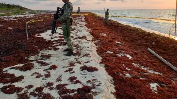 Con este aseguramiento suman 62 kilos de coca en lo que va del año Con este aseguramiento suman 62 kilos de coca en lo que va del año