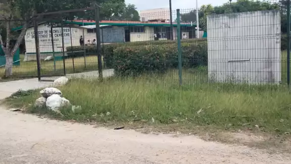 Dos personas reportan que estuvieron a punto de ser levantados por hombres armados en Champotón Dos personas reportan que estuvieron a punto de ser levantados por hombres armados en Champotón
