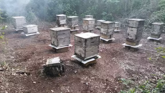 Los fuertes temporales del 2020 causaron inundaciones que afectaron las colmenas de los apicultores Los fuertes temporales del 2020 causaron inundaciones que afectaron las colmenas de los apicultores