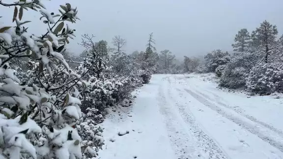 Hay carreteras cerradas en Chihuahua y Sonora por la caída de nieve Hay carreteras cerradas en Chihuahua y Sonora por la caída de nieve