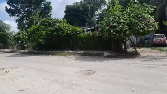 Ladrones aprovecharon la madrugada para robar un pavo de una casa en la colonia Salsipuedes Ladrones aprovecharon la madrugada para robar un pavo de una casa en la colonia Salsipuedes