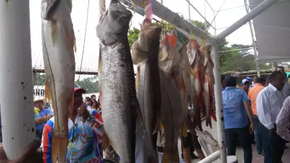 Este torneo de pesca es esperado con mucho entusiasmo por cientos de pescadores Este torneo de pesca es esperado con mucho entusiasmo por cientos de pescadores