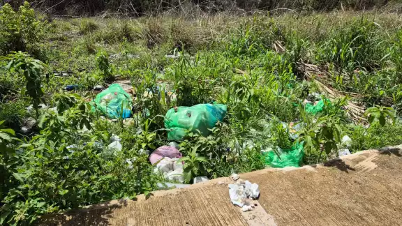 Vecinos claman por atención en zona olvidada de Campeche Vecinos claman por atención en zona olvidada de Campeche