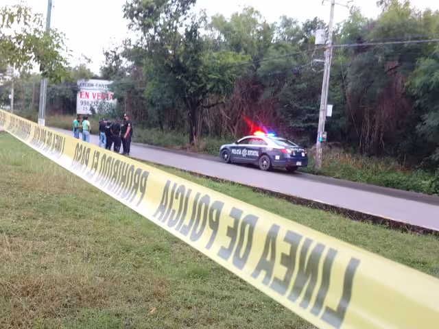 Se desconoce si se trata de una artesanía o en realidad son restos humanos incrustados en un árbol