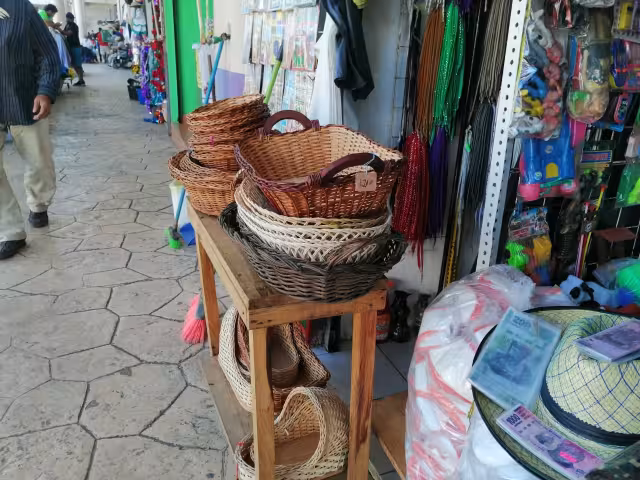 Foto: Irene Barradas