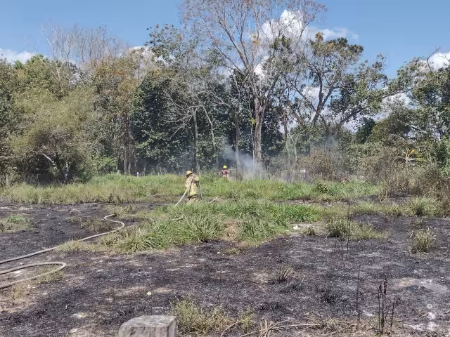 El fuego se extendió por gran parte del terreno baldío
