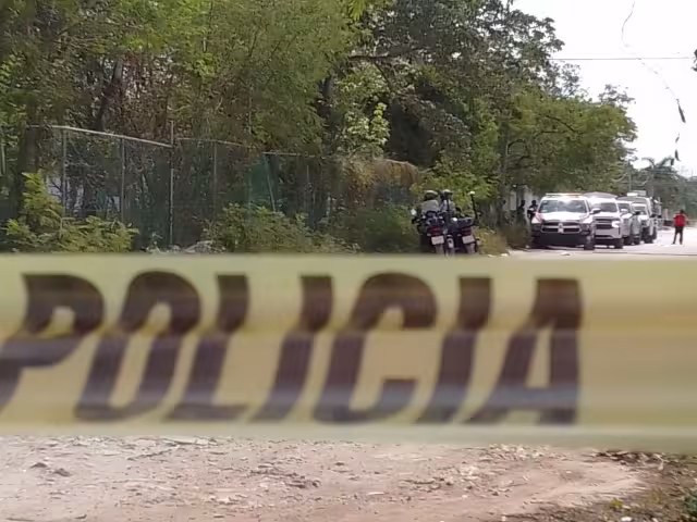 Estaban en un predio en la calle Rojo Gómez, en Bonfil