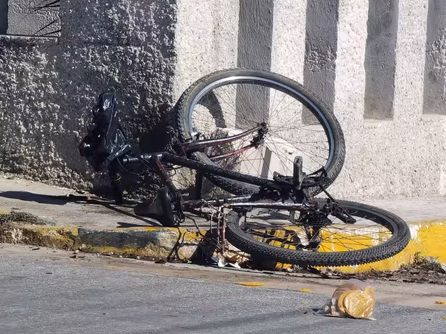 El dueño de la bicicleta aseguró que denunciará al presunto ladrón