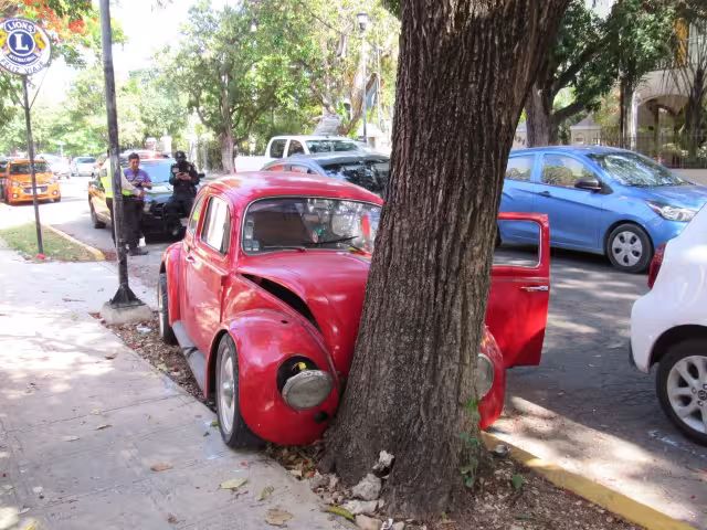 Al accionar el freno este no respondió, por lo que trató de salirse de la carretera a su costado derecho, expuso