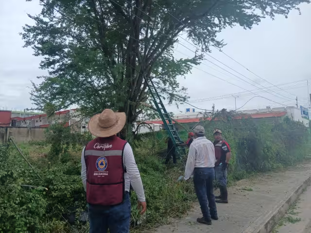 Vecinos de la colonia Unidad, Esfuerzo y Trabajo II (UEYT2) en Escárcega reportaron constantes cortos circuitos y apagones desde hace una semana.