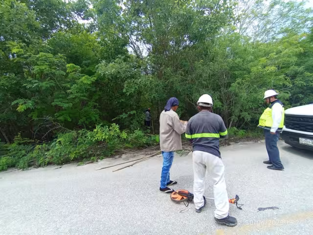 Justicia eléctrica para comunidades de Hopelchén