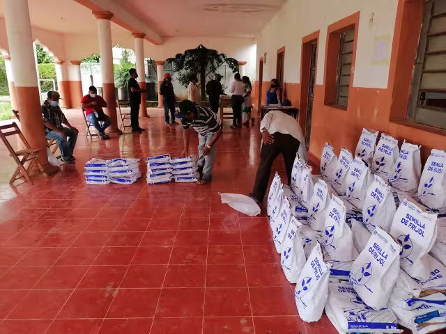 Iniciarán con el cultivo de frijol Jamapa, para ayudarse en su economía