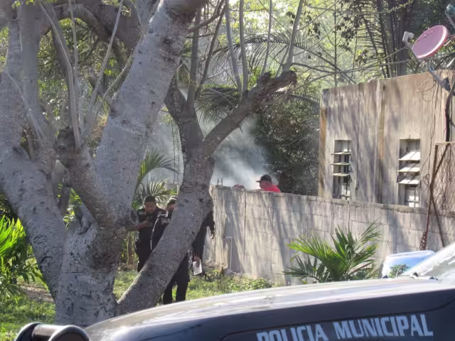 El incendio dejó una mascota sin vida