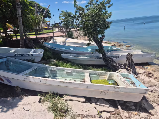 Detectan 32 lanchas varadas en Champotón convertidas en focos de dengue y zika