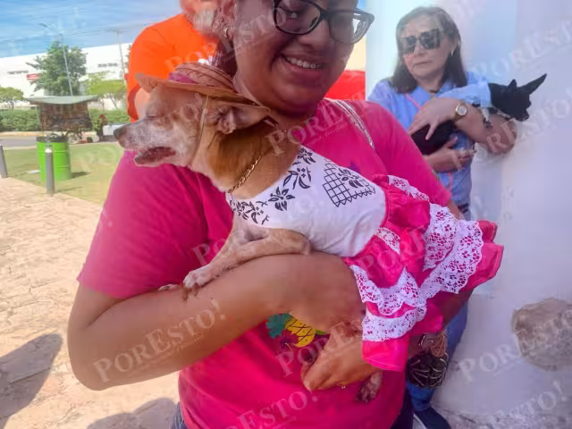 Campechanos llenan la Iglesia de San Francisco para la tradicional bendición de mascotas