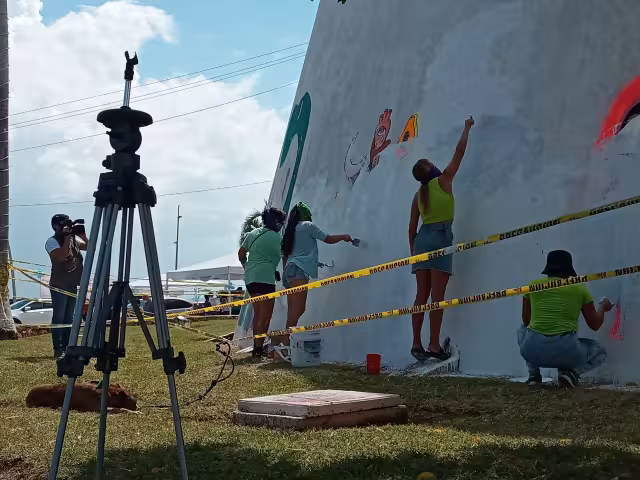 Los principales sospechosos son integrantes de grupos Pro-vida