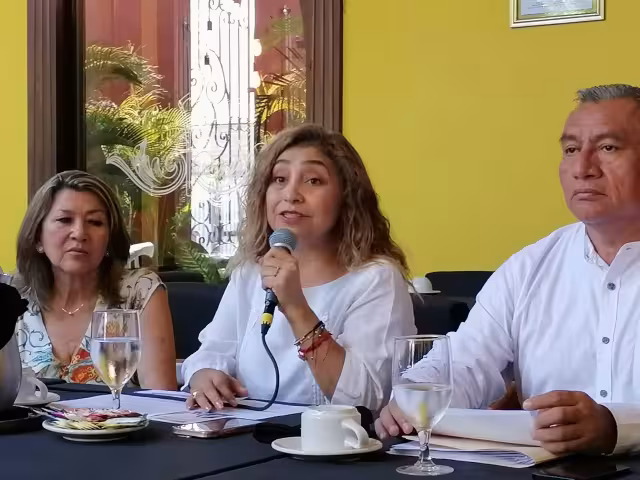 Activistas piden creación de sistema de atención y monitoreo para la niñez