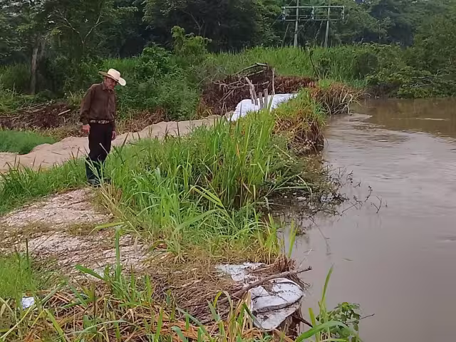Río Palizada mantiene tendencia a la baja; descartan riesgo inmediato de inundaciones
